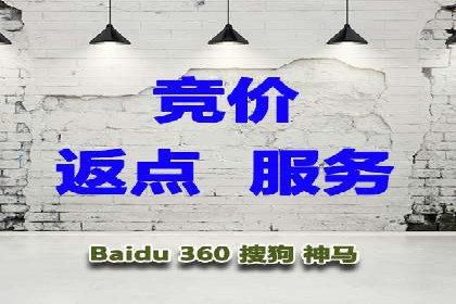 实战经验：SEM网络推广打造行业领军品牌