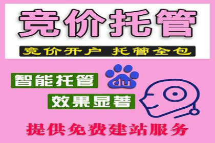 SEM竞价托管专家分享：实战案例精选